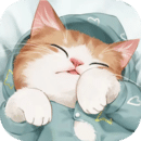 基德：歐文說話溫文可是很有力氣 球隊里每個人都尊重他的競賽