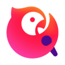 齊齊打鐵！帕威&11號秀布澤利斯均9中1 二人算計僅得8分6板4助