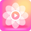 一節就打花了？凱爾特人首節40