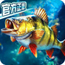 3WL總決賽四強落位！冠軍行將揭曉